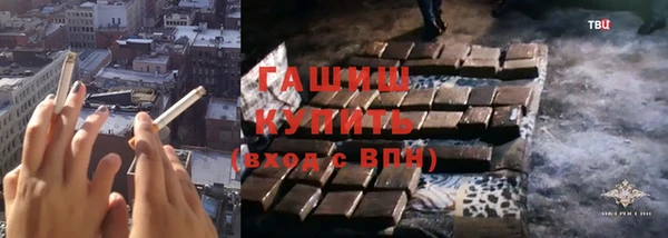 гашик Алексин