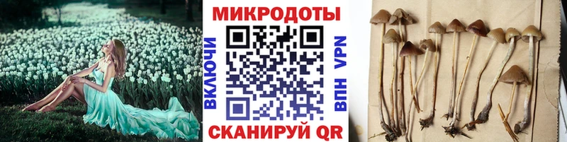 Галлюциногенные грибы мицелий  продажа наркотиков  Чекалин 